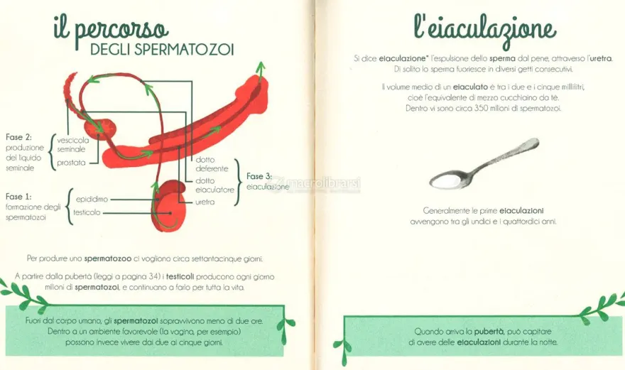 Il Mio Primo Libro dell'Intimità - Lui