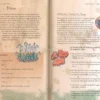 Il Mio Primo Manuale Wiccan