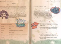 Il Mio Primo Manuale Wiccan