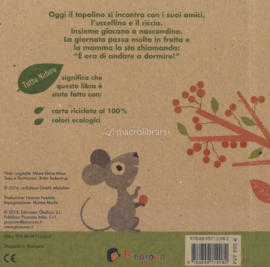 Il Mio Topolino