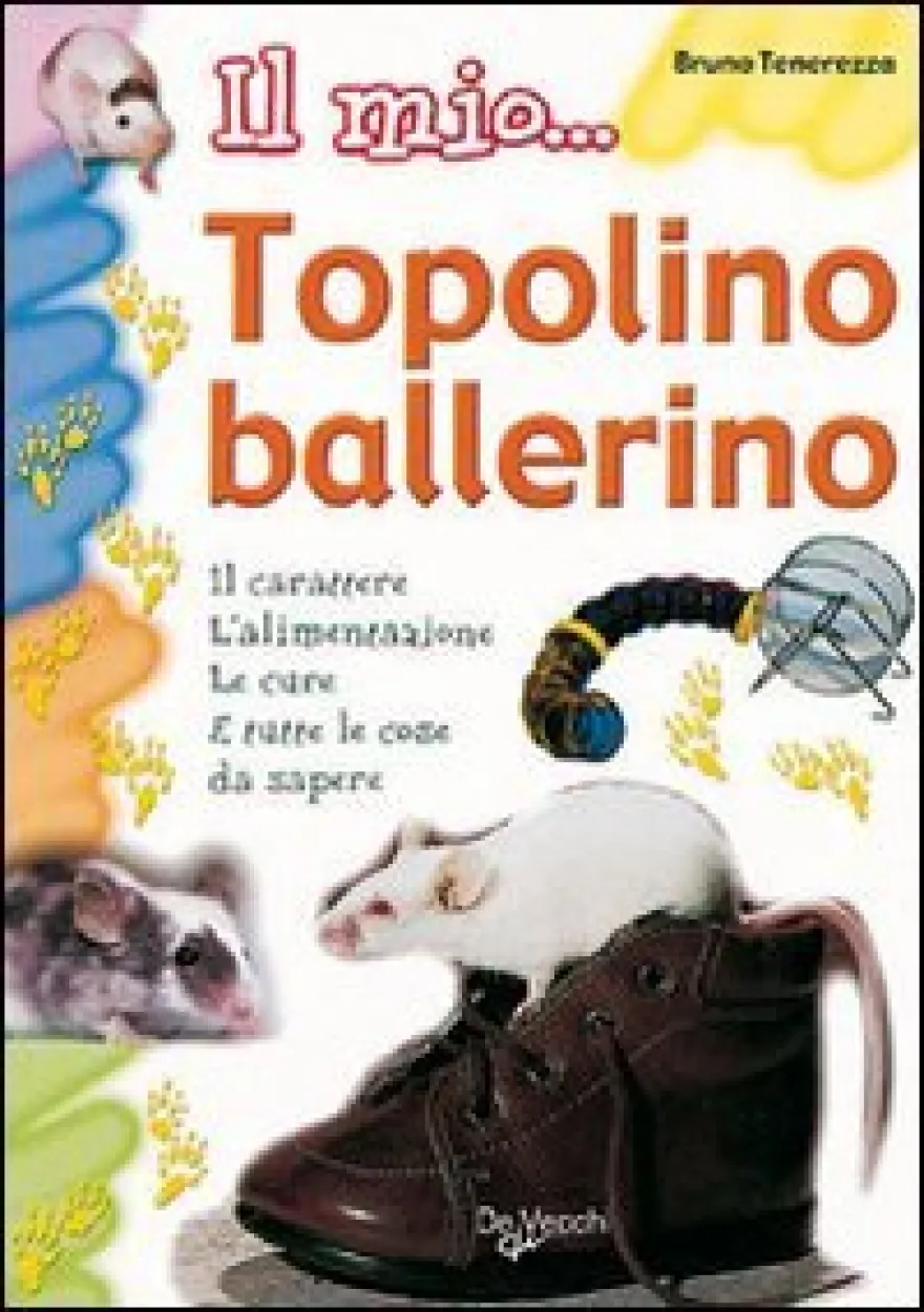 Il mio... Topolino Ballerino