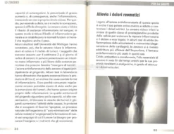 Il Miracoloso Zenzero