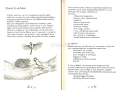 Il Mondo Incantato di Musetta