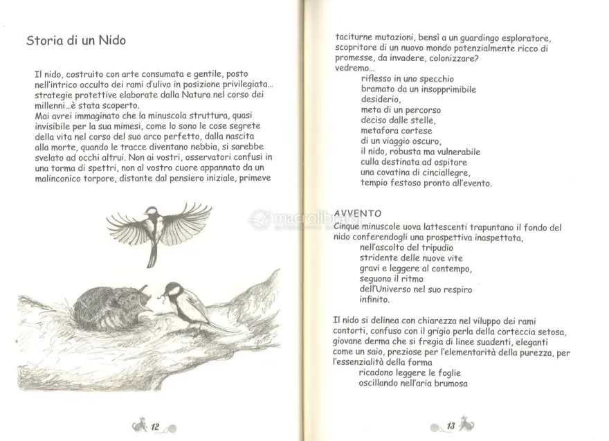Il Mondo Incantato di Musetta