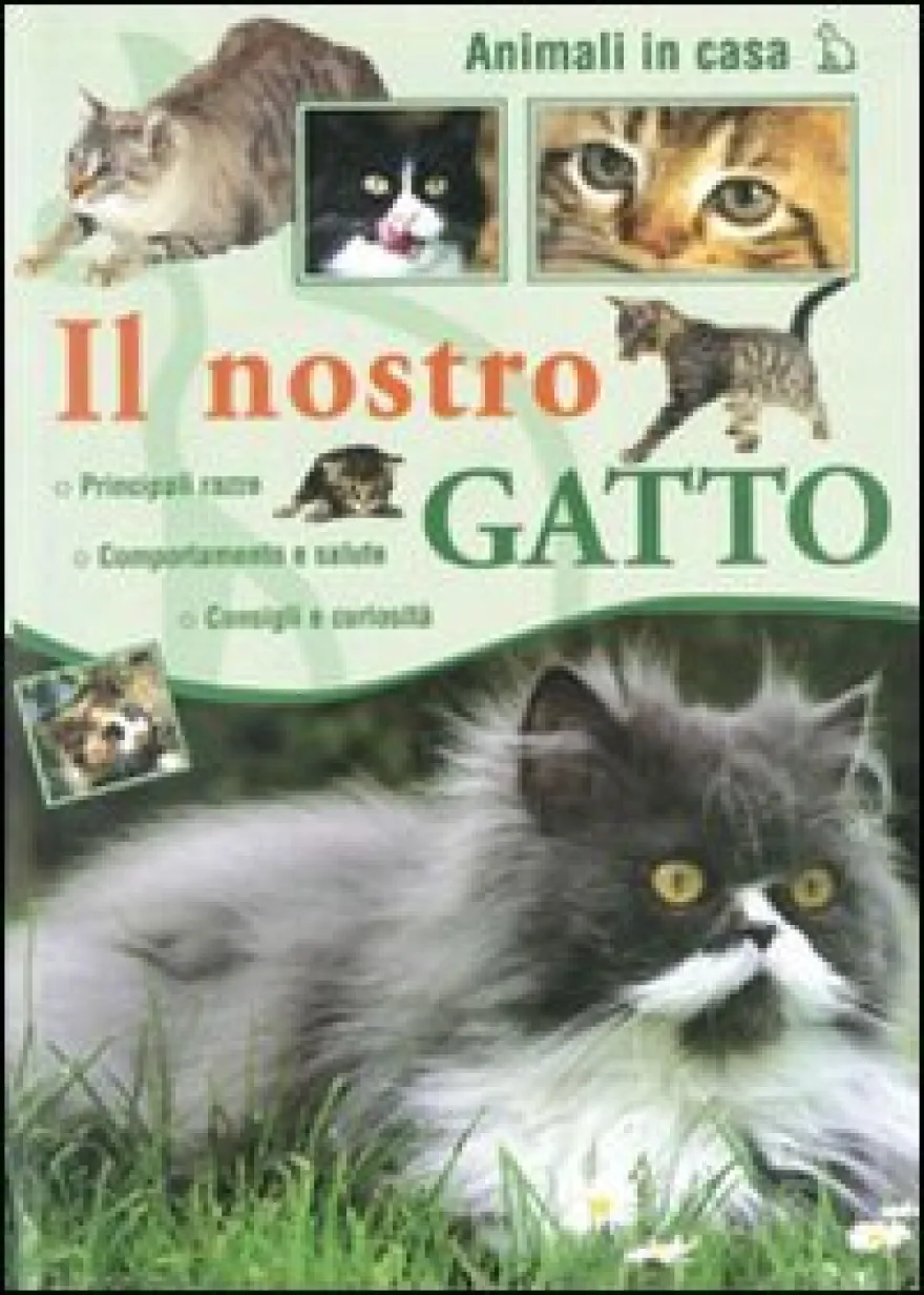 Il Nostro Gatto