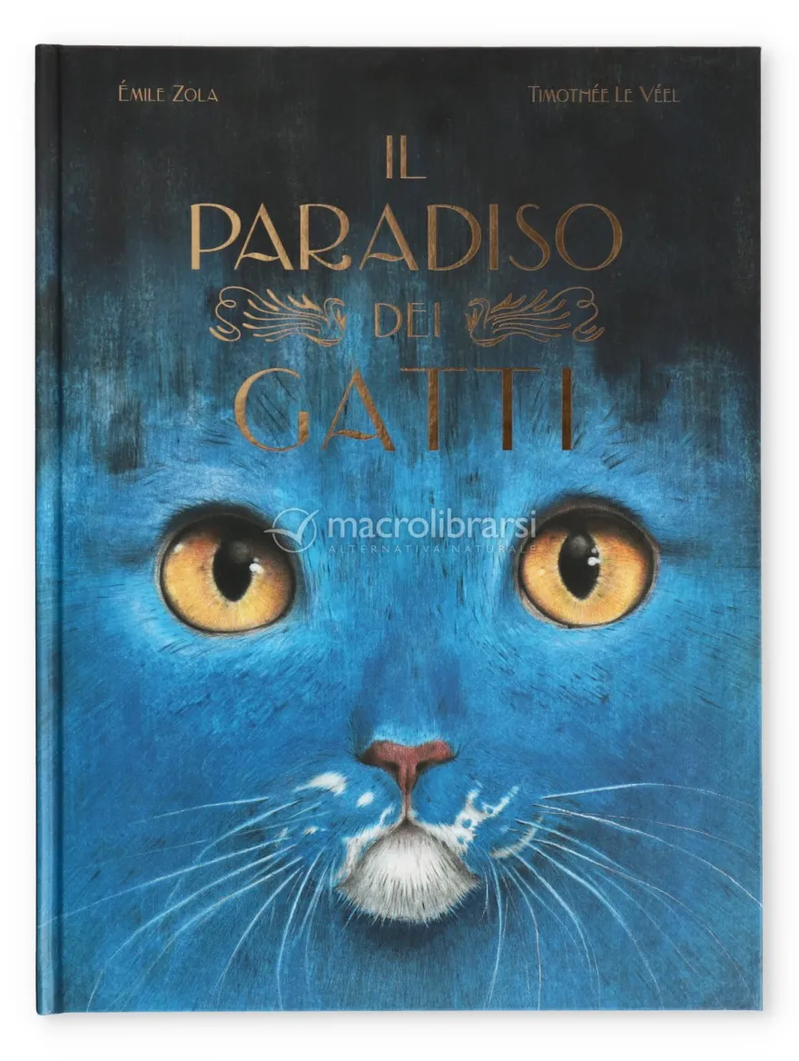 Il Paradiso dei Gatti