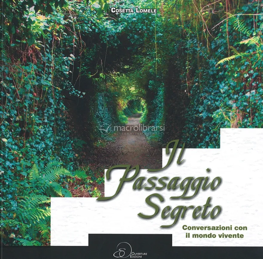 Il Passaggio Segreto