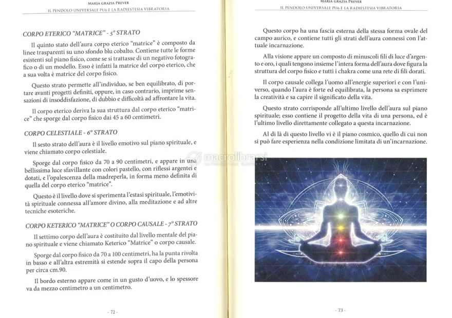 Il Pendolo Universale Pu6