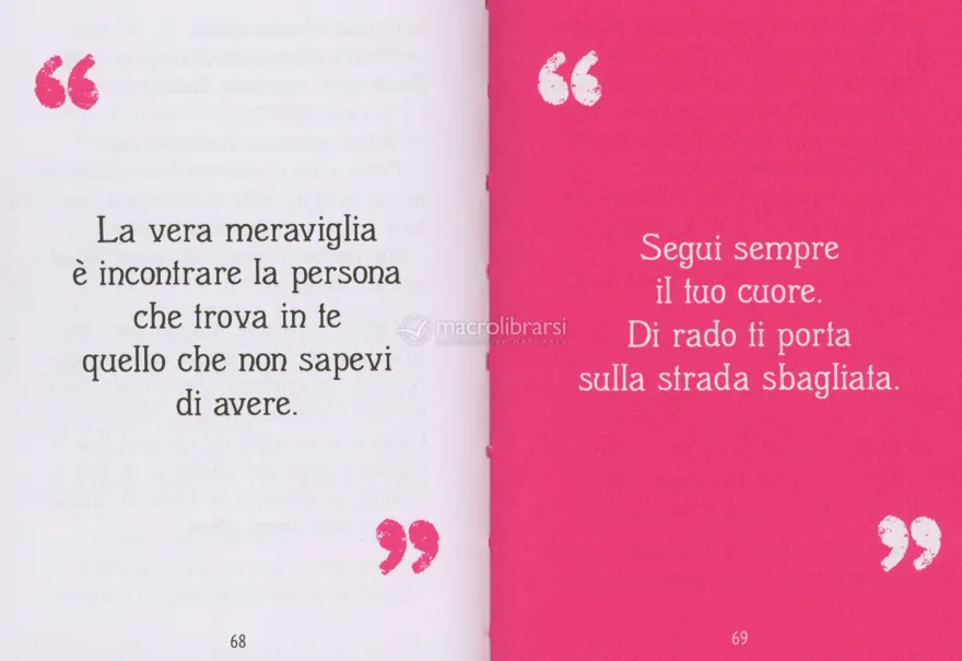 Il Piccolo Libro delle Amiche