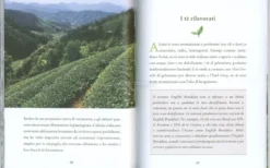 Il Piccolo Libro del Te
