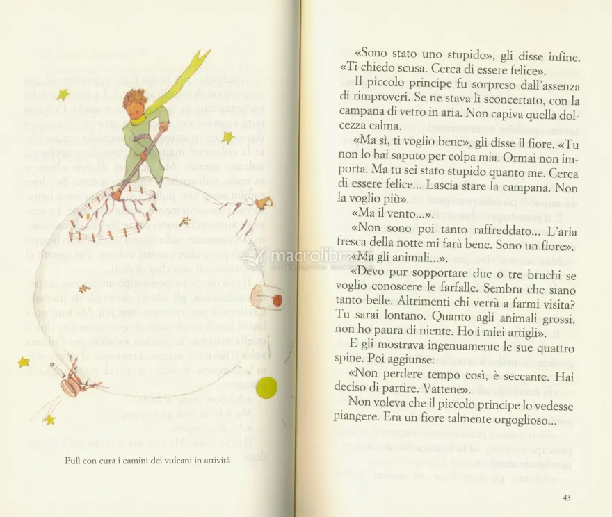Il Piccolo Principe