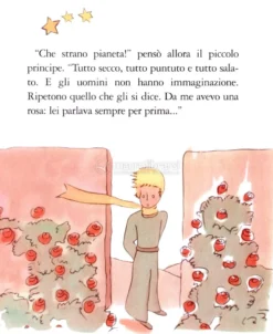 Il Piccolo Principe