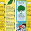 Il Piccolo Sognatore