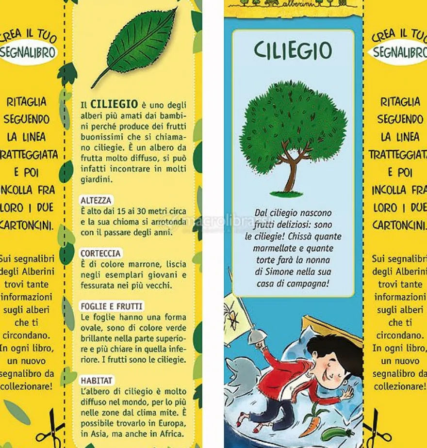 Il Piccolo Sognatore