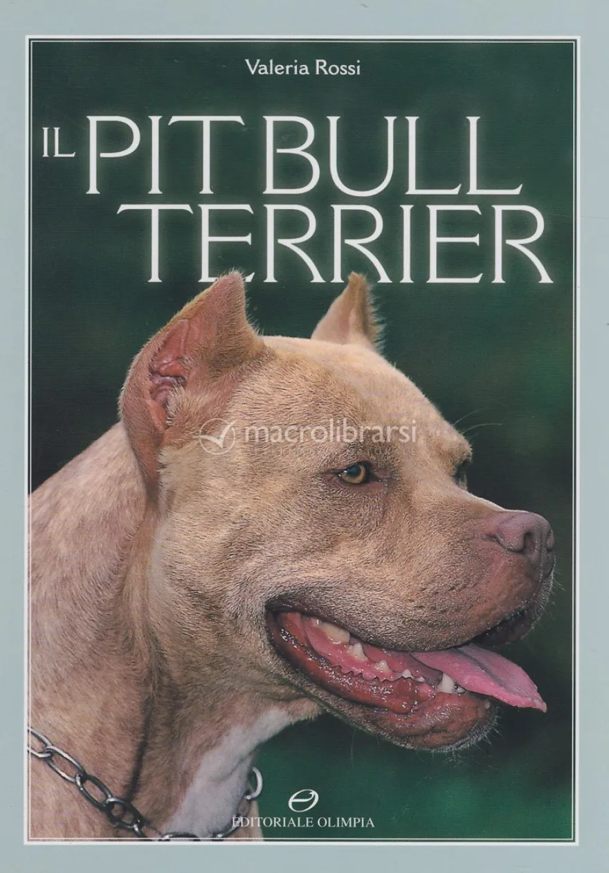 Il Pitbull Terrier