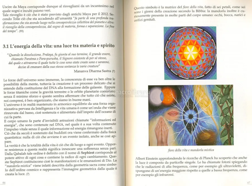 Il Potere Quantistico dell'Inconscio nei Processi di Guarigione