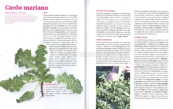 Il Prato è in Tavola