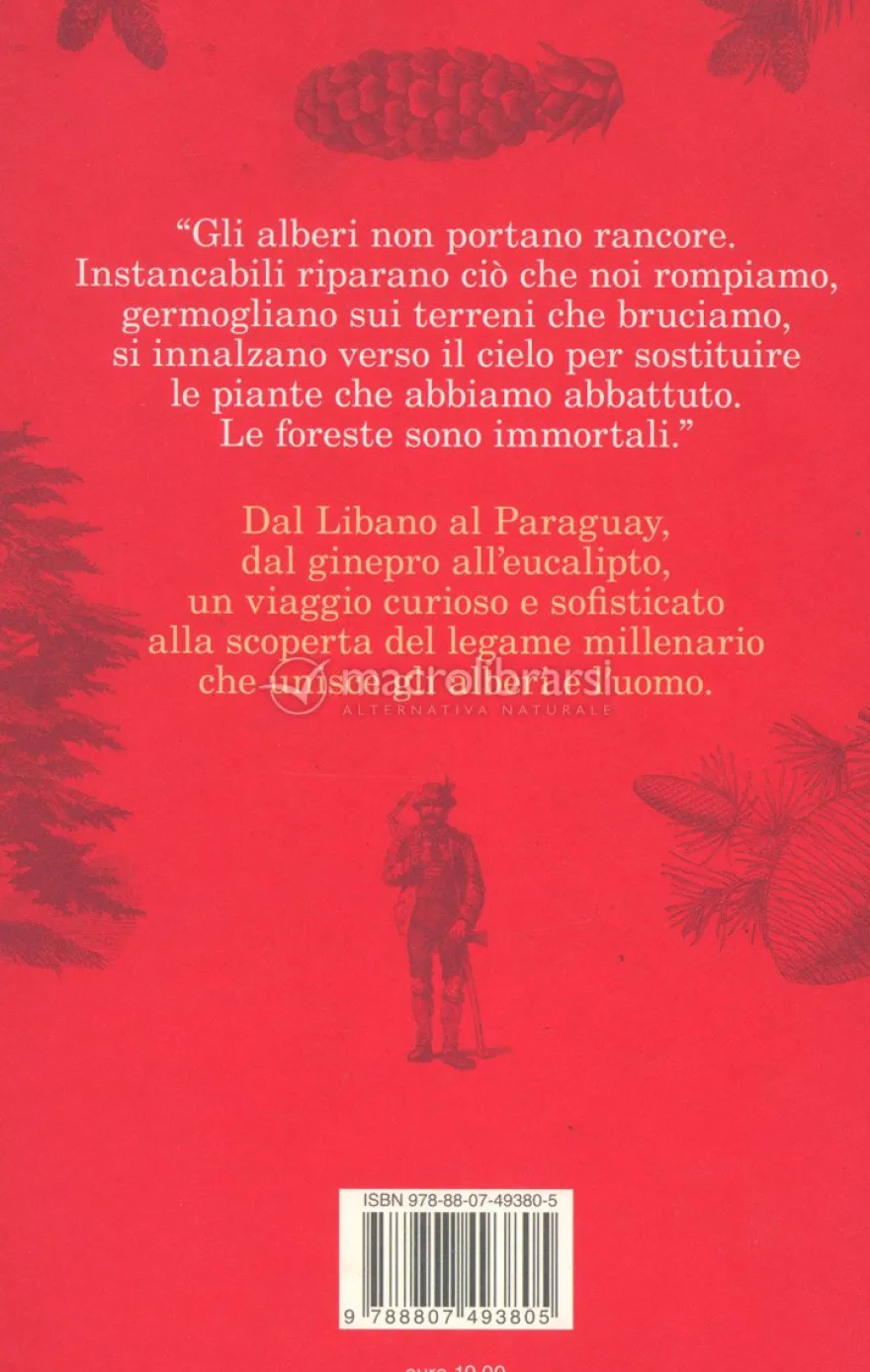 Il Profumo delle Foreste