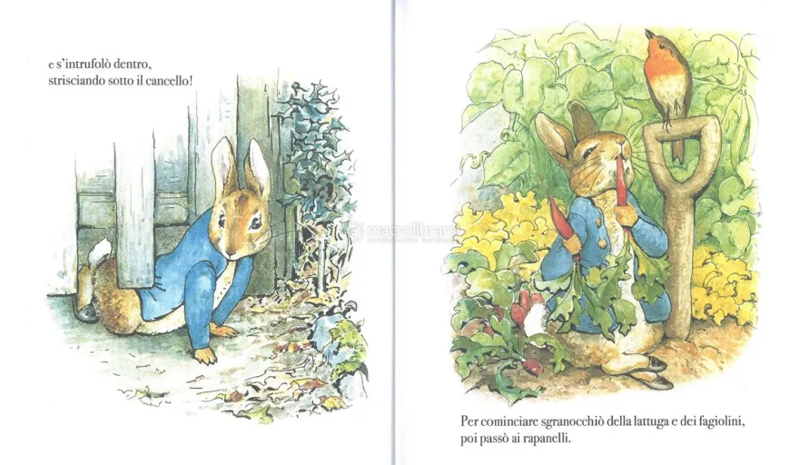 Il Racconto di Peter Coniglio