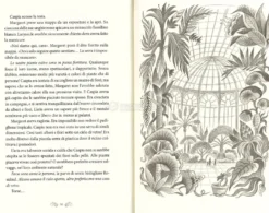 Il Regno Verde