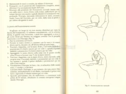 Il Reiki