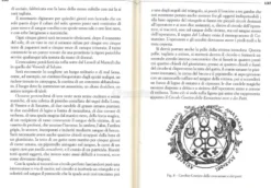 Il Rituale dell'Alta Magia