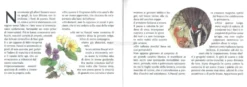 Il Segreto del Codirosso