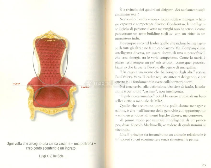 Il Successo della Scimmia