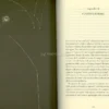 Il Tao della Fisica