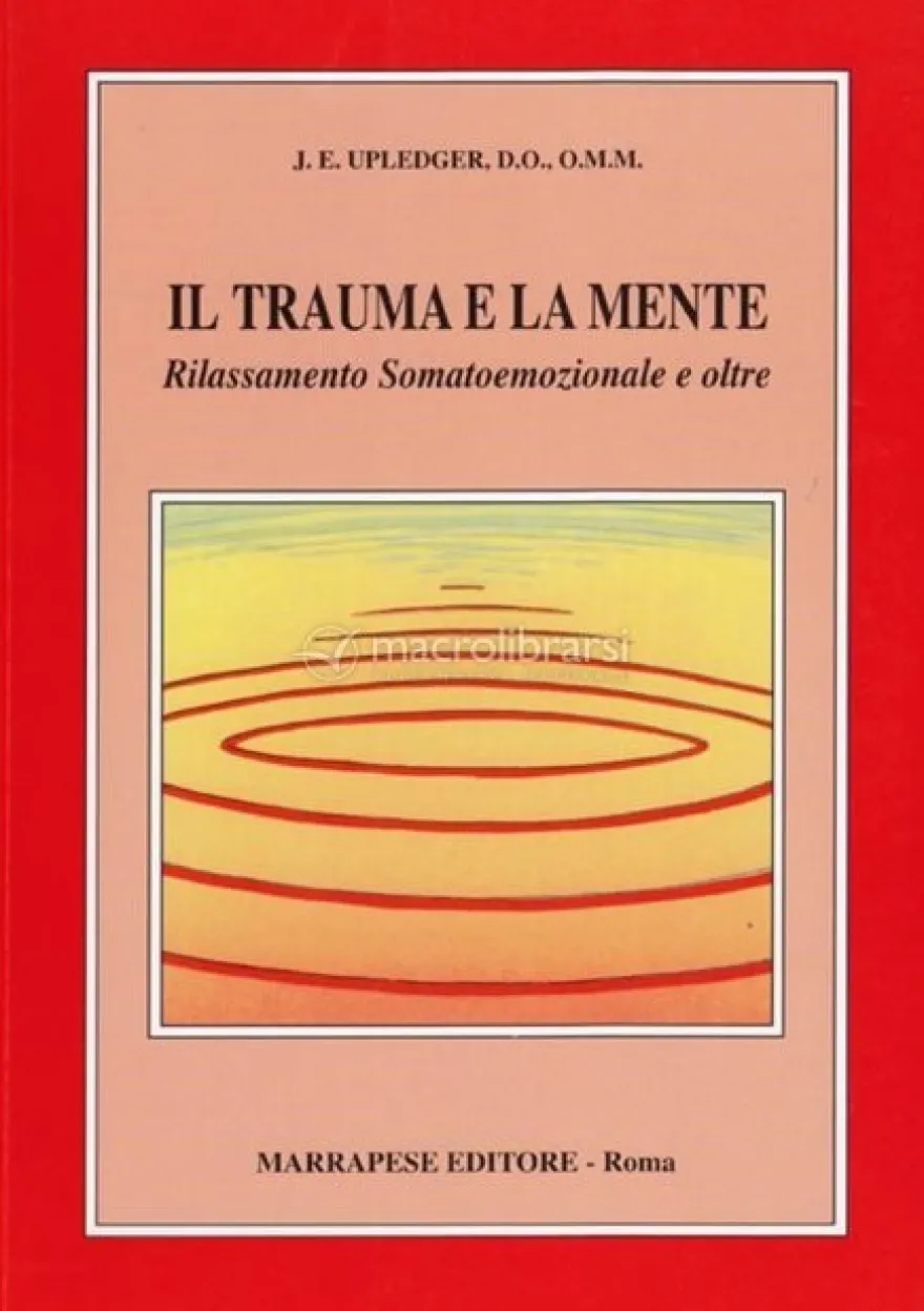 Il Trauma e la Mente