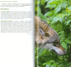 Il Trekking del Lupo