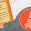 Il Viaggio di Bebè