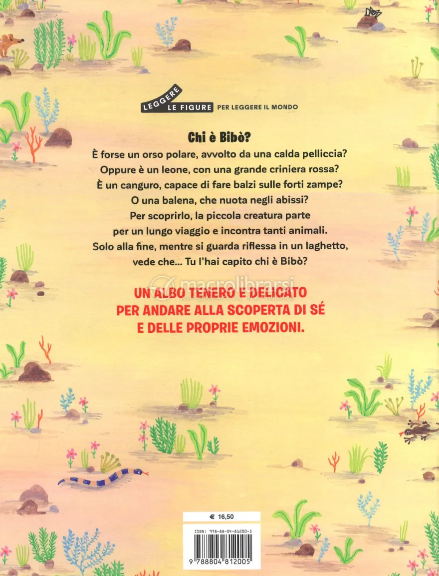 Il Viaggio di Bibò