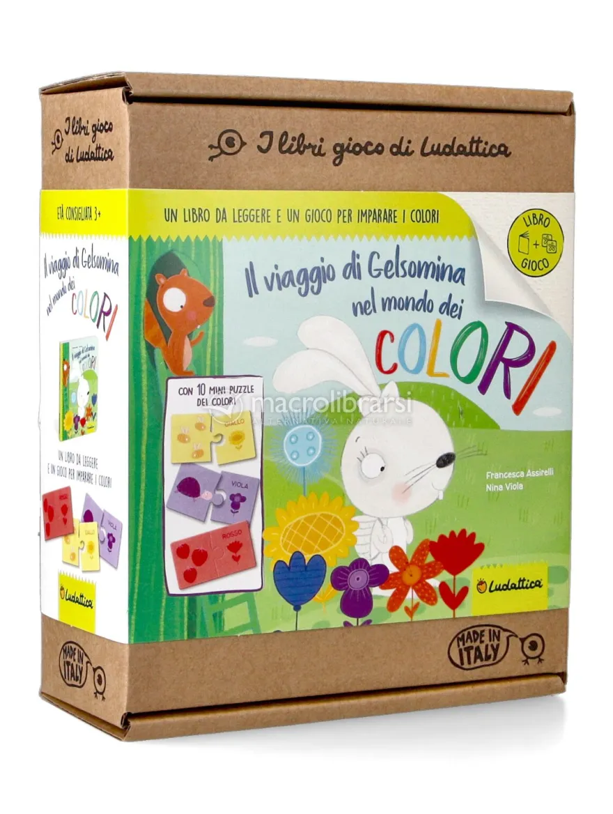 Il Viaggio di Gelsomina nel Mondo dei Colori