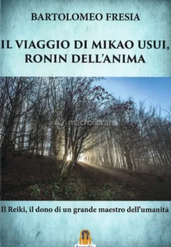 Il Viaggio di Mikao Usui, Ronan dell'Anima