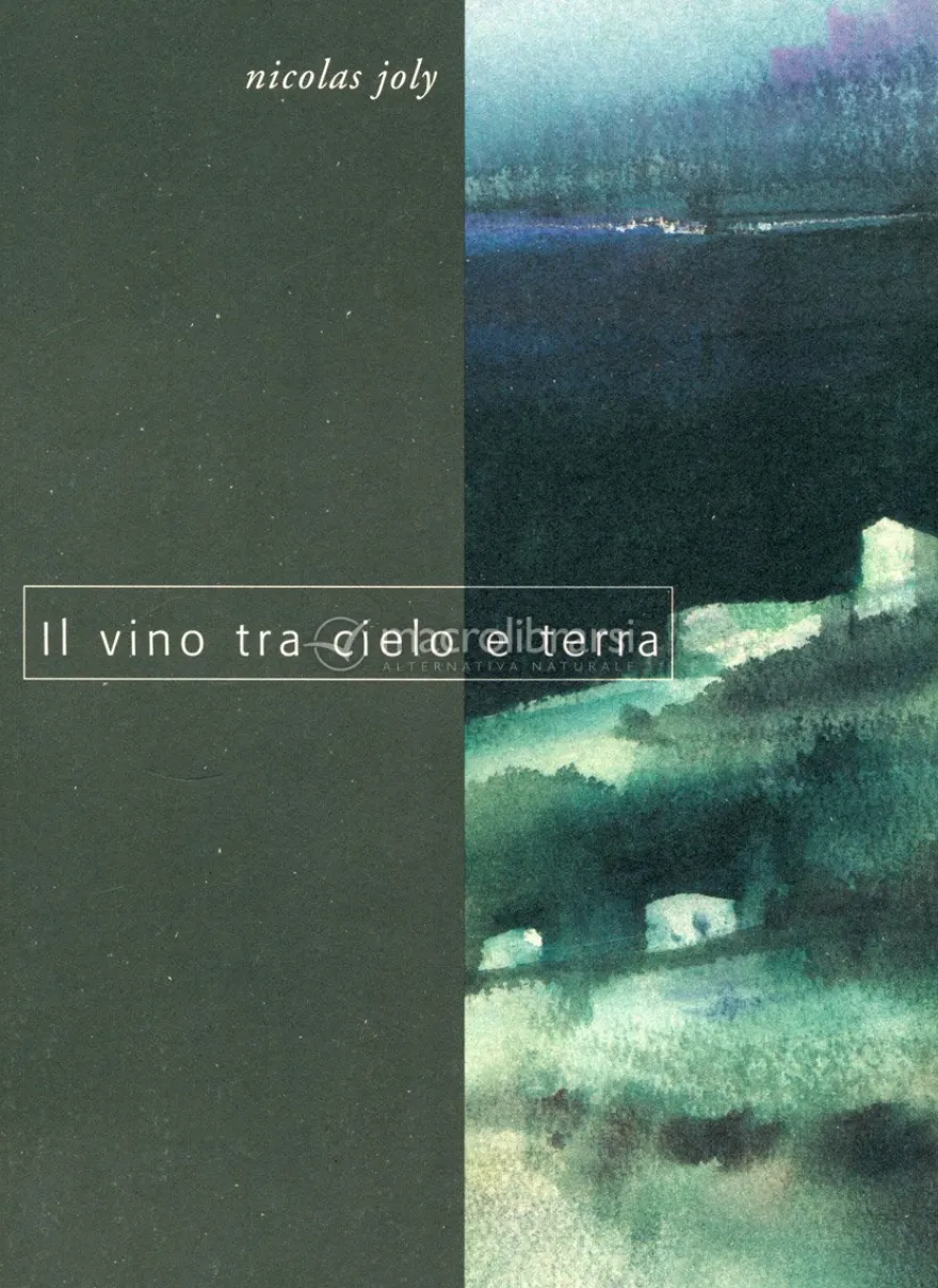 Il Vino tra Cielo e Terra