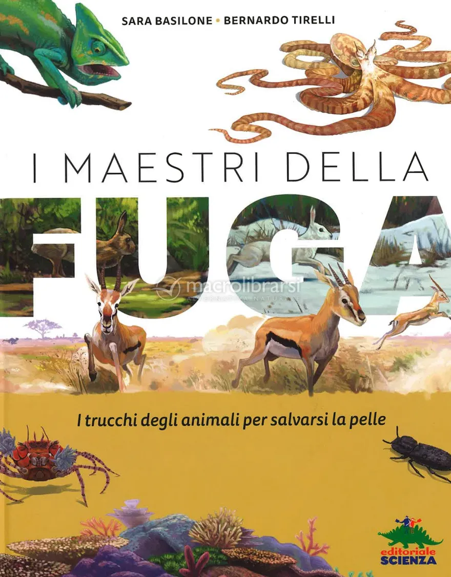 I Maestri della Fuga
