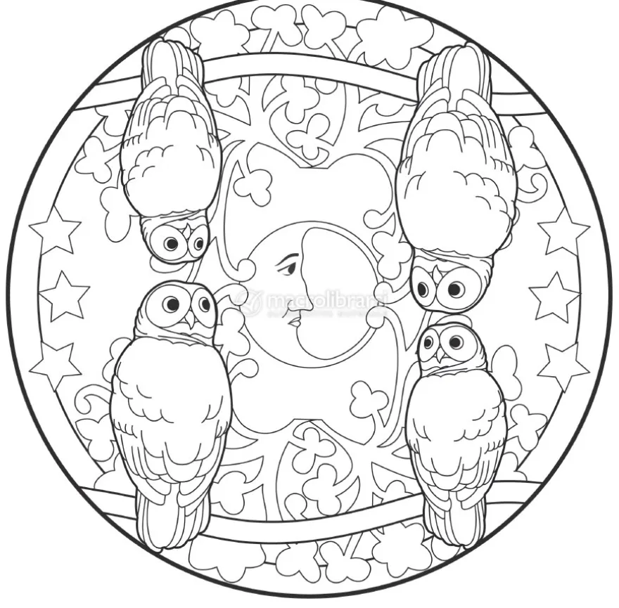 I Mandala degli Animali del Bosco