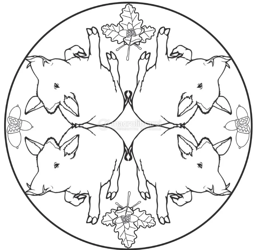 I Mandala degli Animali del Bosco
