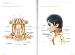 I Meridiani Shiatsu - Atlante