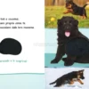 I Miei Cuccioli da Coccolare