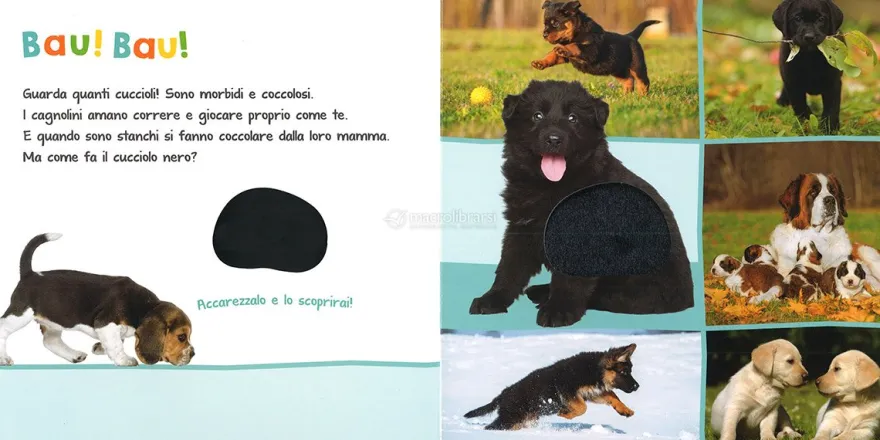 I Miei Cuccioli da Coccolare