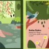 I Miei Piccoli Libri Sonori - La Natura in Musica