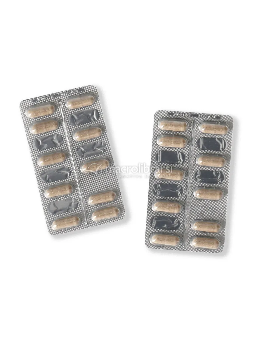 Immulene Forte 20 capsule