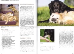 Imparare a Leggere i Cani