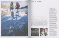 Imparare l'Arte del Foraging