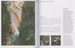 Imparare l'Arte del Foraging