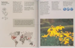 Imparare l'Arte del Foraging