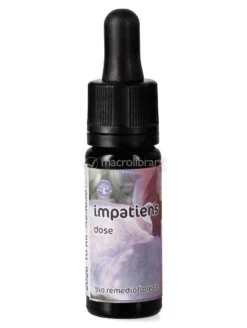 Impatiens - Soluzione Madre