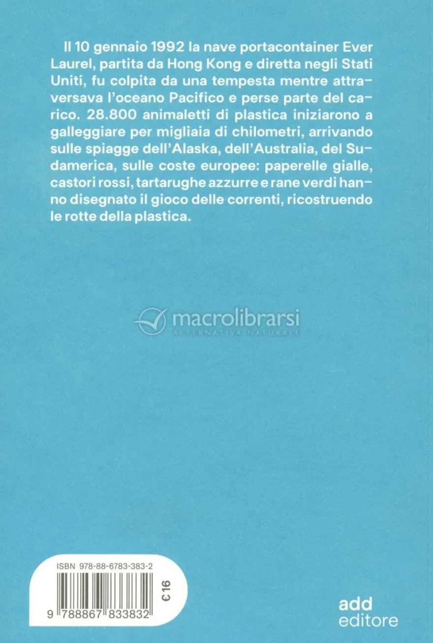 In Alto Mare